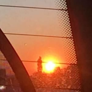 Meet your Posher, Sienna